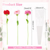 Carnation