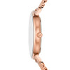 Rose Gold Mesh