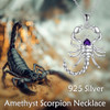 Scorpion Necklace Scorpion Necklace