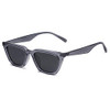 C4 Transparent Grey Frame/Grey Lens C4 Transparent Grey Frame/Grey Lens