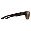 Burnished Brown/Polarized Brown