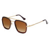 C3 Gold Frame/Brown Rim/Gradient Brown Lens C3 Gold Frame/Brown Rim/Gradient Brown Lens