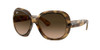 Havana/Pink Gradient Brown