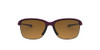 Raspberry Spritzer/Brown Gradient Polarized