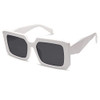 White Frame/Grey Lens