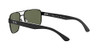 Black/Polarized Green