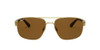 Gold/Polarized B-15 Brown