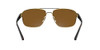 Gold/Polarized B-15 Brown