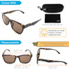 Tortoise Frame / Brown Lens