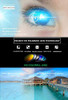 Black-grey Frame Gradient Brown Lens