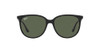 Black/Dark Green