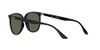 Black/Dark Green