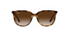 Havana/Gradient Brown