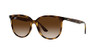 Havana/Gradient Brown