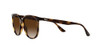 Havana/Gradient Brown