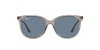 Transparent Grey/Dark Blue Polarized
