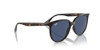 Havana/Dark Blue