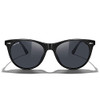 Black Frame/Black Polarized Lens