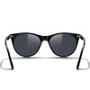 Black Frame/Black Polarized Lens