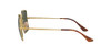 Gold/G-15 Green Gold/G-15 Green