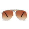 Tortoise Brown