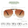 Tortoise Brown