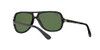 Black/Polarized Green