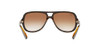 Light Havana/Crystal Brown Gradient