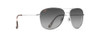 Silver/Neutral Grey Polarized