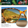 Gold/Hcl Bronze Polarized