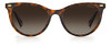 Havana/Polarized Brown Gradient