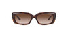 Dark Havana/Brown Gradient
