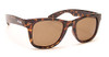 Tortoise/Brown