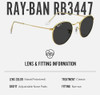Polished Gold Frame |Polarized Black Lens