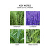 Cedar Leaf & Lavender