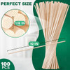 100 Pcs 10"