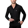 Black-silver Horse