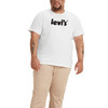 Poster Logo White - Big
