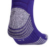 Team Collegiate Purple/White