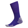 Team Collegiate Purple/White