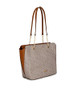 Textured Almond/Taupe/Caramel Linear