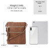 Small-two-toned Brown