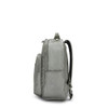 Moon Grey Metallic