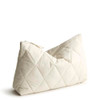 Pumice Stone