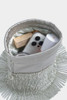 Silver 4