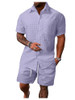 Solid Purple
