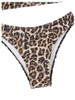 Leopard Multicolor