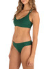 Green Ivy
