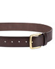 Chestnut Brown