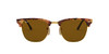 Spotted Brown Havana/B-15 Brown
